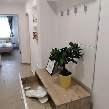 Apartment Manapartment1 *